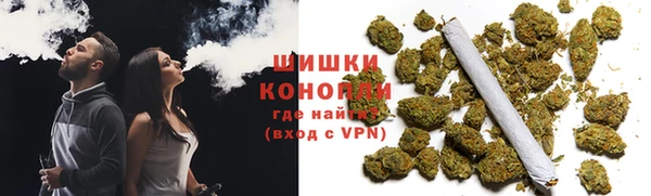 дживик Бронницы
