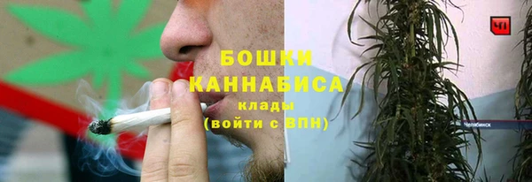 дживик Бронницы