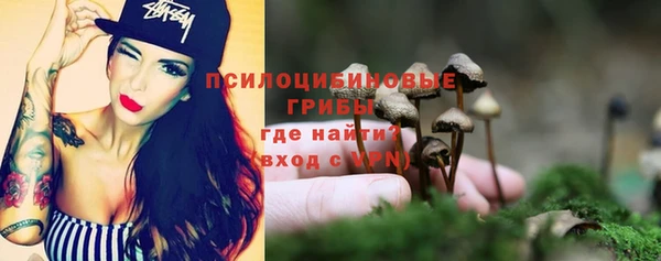 дживик Бронницы