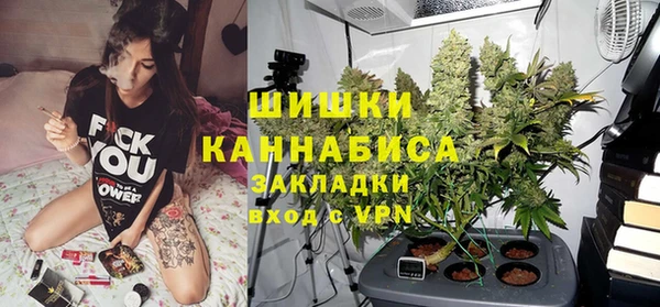 сатива Бородино