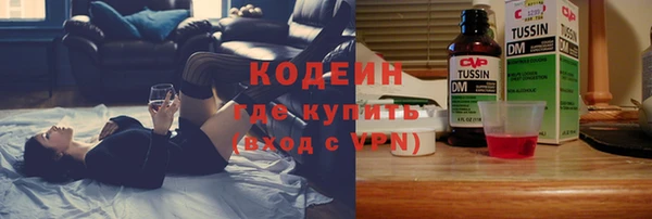сатива Бородино