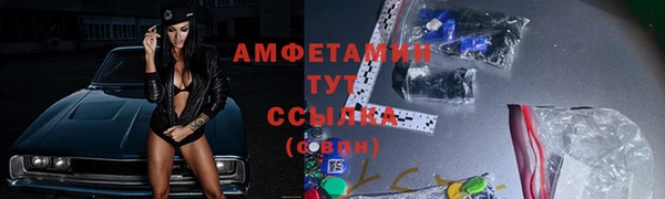 дживик Бронницы