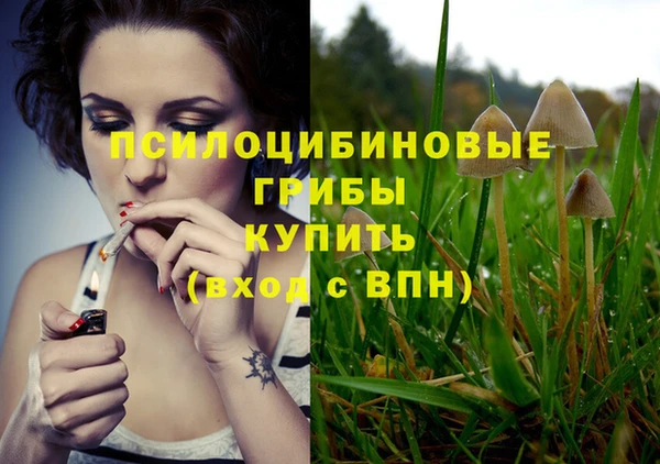 дживик Бронницы