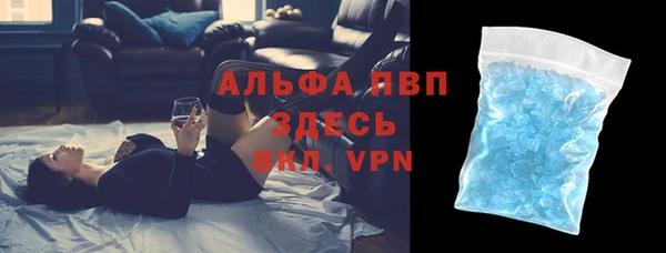 сатива Бородино