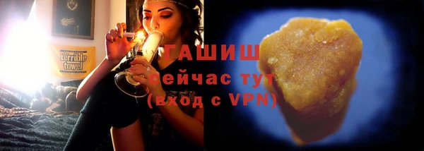 сатива Бородино