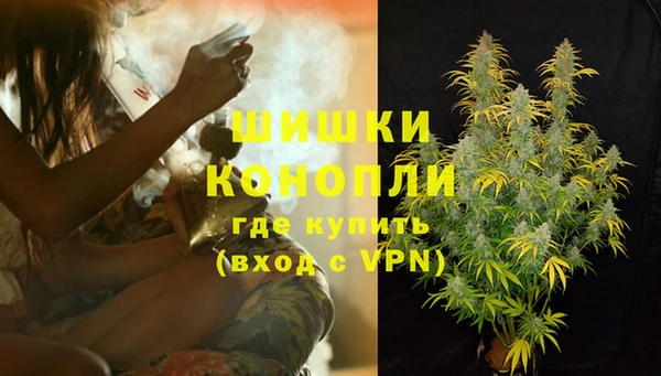дживик Бронницы