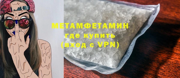 сатива Бородино