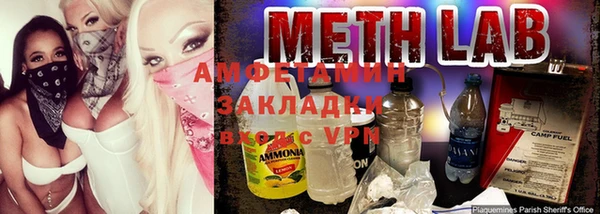 сатива Бородино