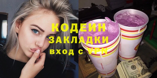сатива Бородино