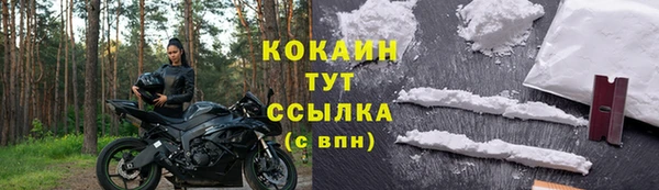 дживик Бронницы