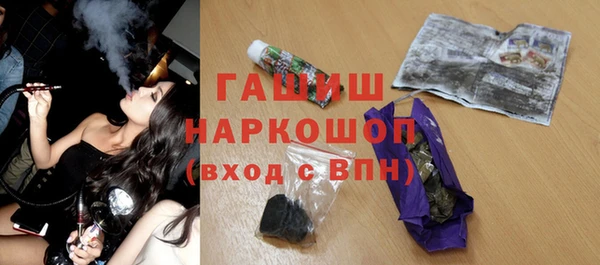 сатива Бородино