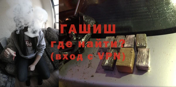 сатива Бородино
