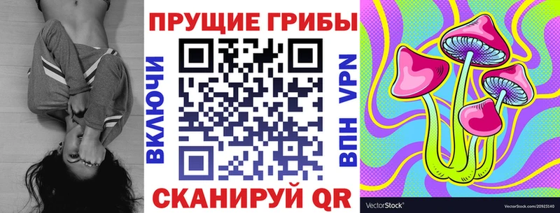 купить наркотики сайты  Минеральные Воды  ссылка на мегу ТОР  Галлюциногенные грибы Psilocybe 